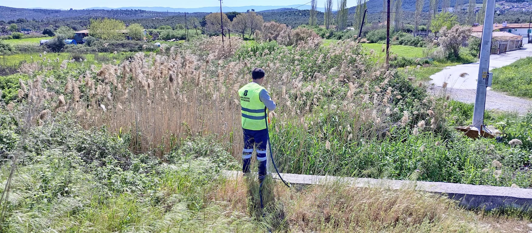 Büyükşehir ekipleri, sineksiz bir yaz için aralıksız çalışıyor