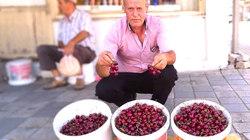 Türkiye’nin en kaliteli kirazı Dursunbey yaylasında yetişiyor.