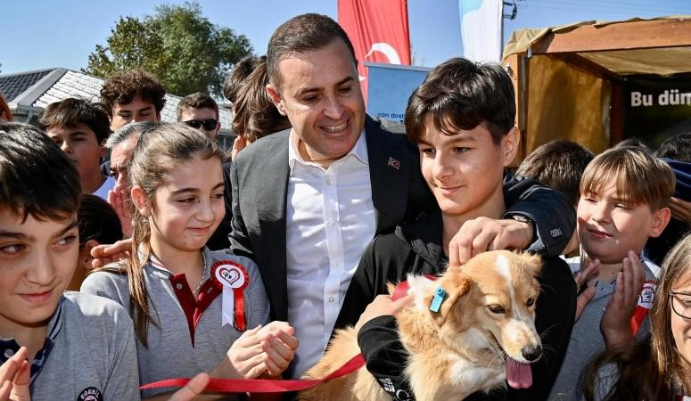 Balıkesir sokaktaki canlara sahip çıkıyor, sahipsiz bırakmıyor— Bin 52 sokak hayvanı yeni yuvasına kavuştu